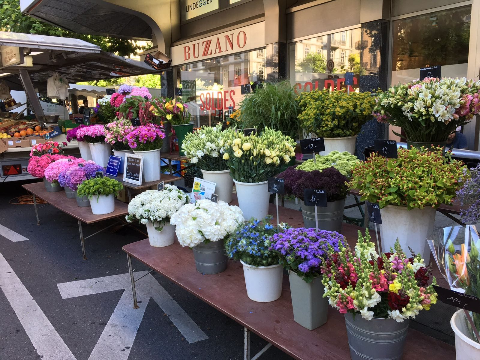 Le stand au marché de Rive, fleurs et plantes en seaux