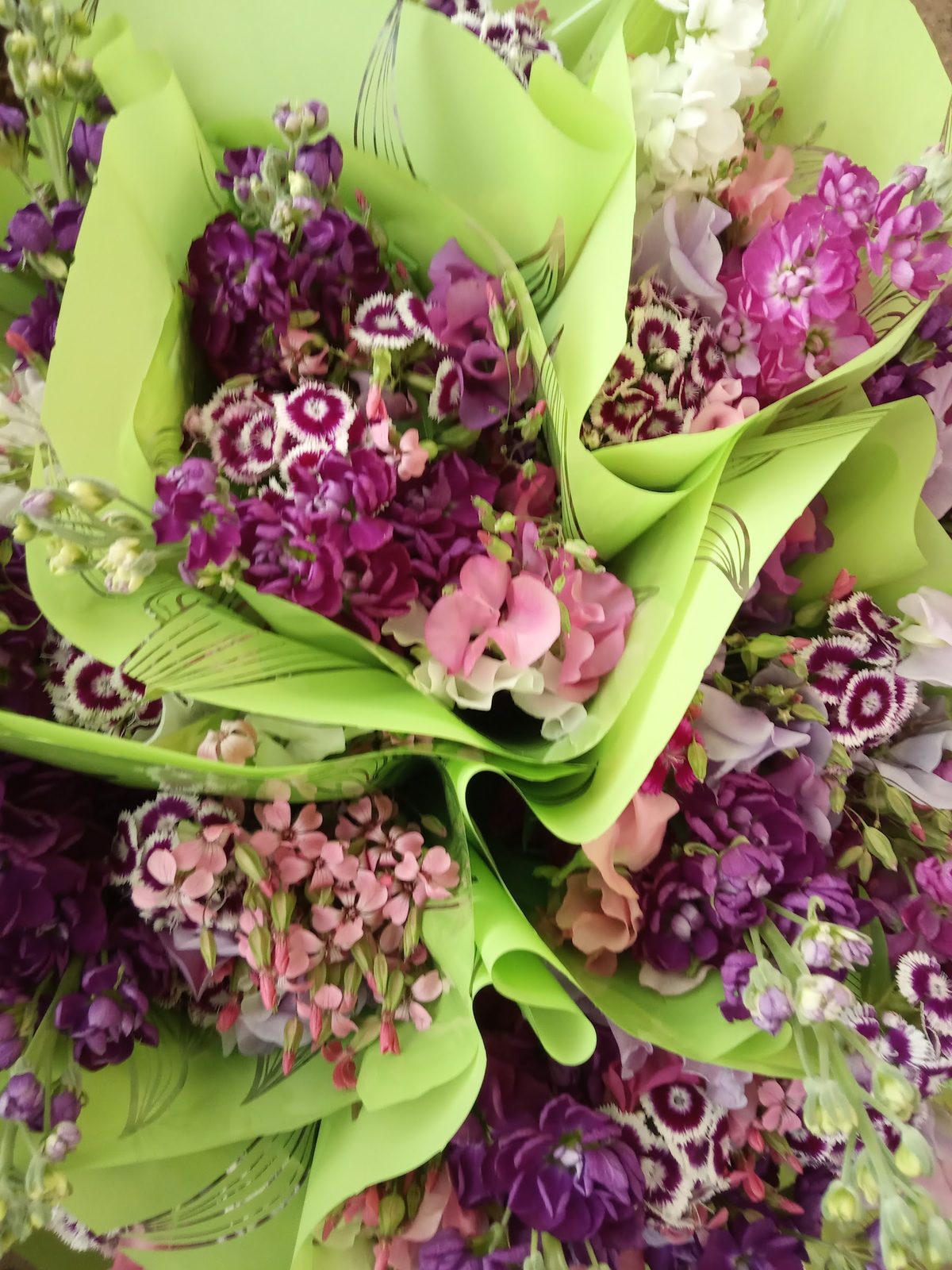 Bouquets d’œillets de poète emballés