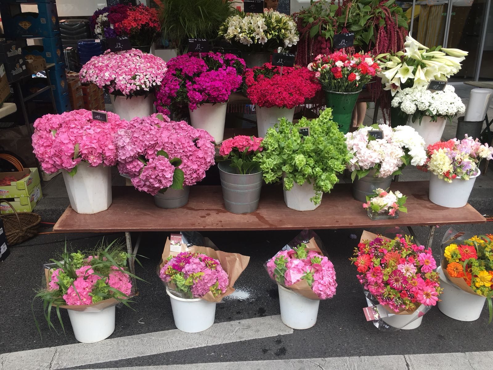Seaux de fleurs coupées : œillets, hortensias, renoncules
